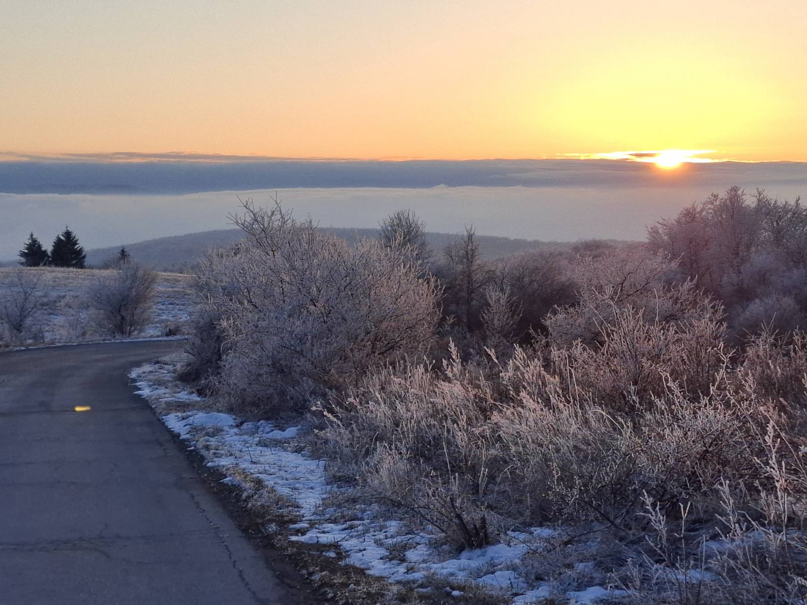 viber_изображение_2026-02-01_16-05-15-461